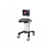 Handfesta svarthvíta ómskoðunarvél